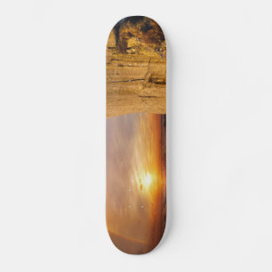 Skateboard Acantilado marino Sun Set