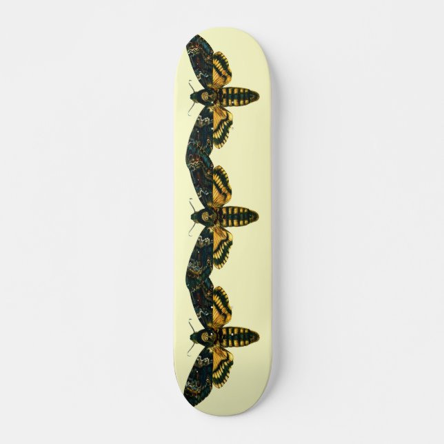 Skateboard Acherontia atropos (Halcón de la Cabeza de la Muer (Anverso )