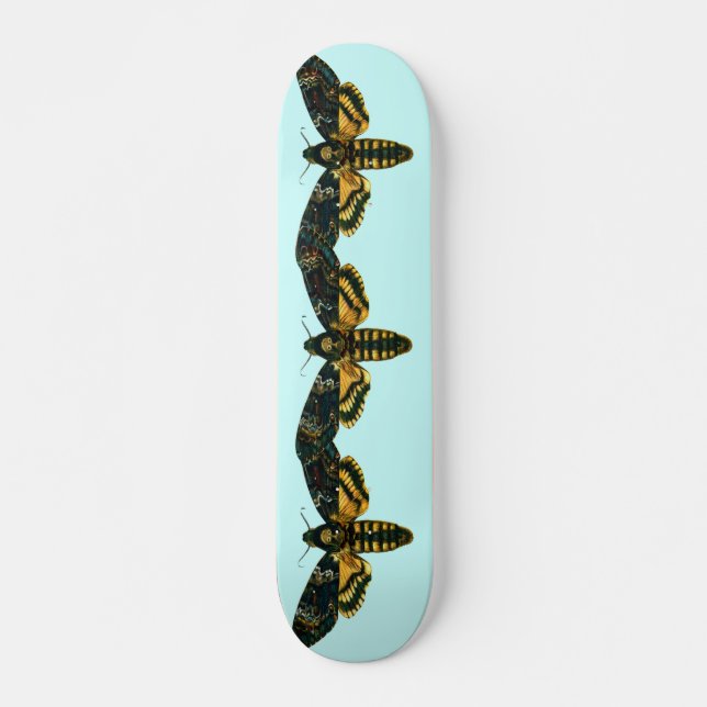 Skateboard Acherontia atropos (Hawkmoth de la cabeza de la mu (Anverso )