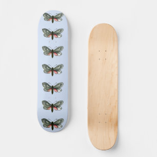Skateboard Aglaope infausta - Almond Tree Leaf Skeletonizer S
