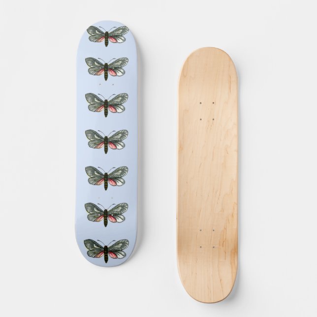 Skateboard Aglaope infausta - Almond Tree Leaf Skeletonizer S (Anverso)