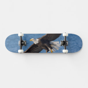 Skateboard Águila calva en vuelo