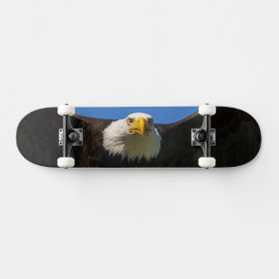 Skateboard Águila calva pasa volando cerca