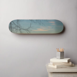 Skateboard Aire y facilidad