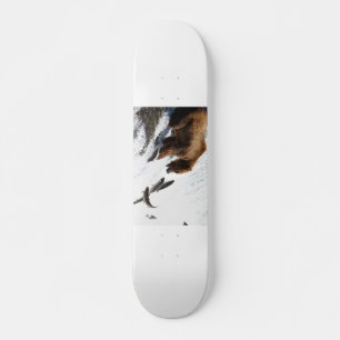Skateboard Alaska - Grizzly 3