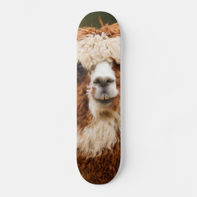Skateboard Alpaca (Anverso)
