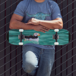 Skateboard Aluminio En La Bahía Resurrección, Alaska