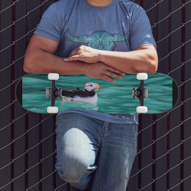 Skateboard Aluminio En La Bahía Resurrección, Alaska (Exterior 3)