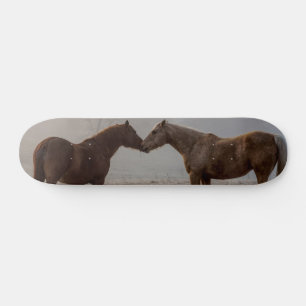 Skateboard Amor del caballo