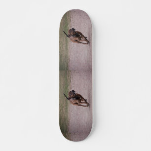 Skateboard Amstaff corriendo