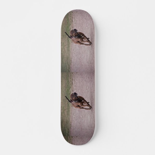 Skateboard Amstaff corriendo (Anverso )