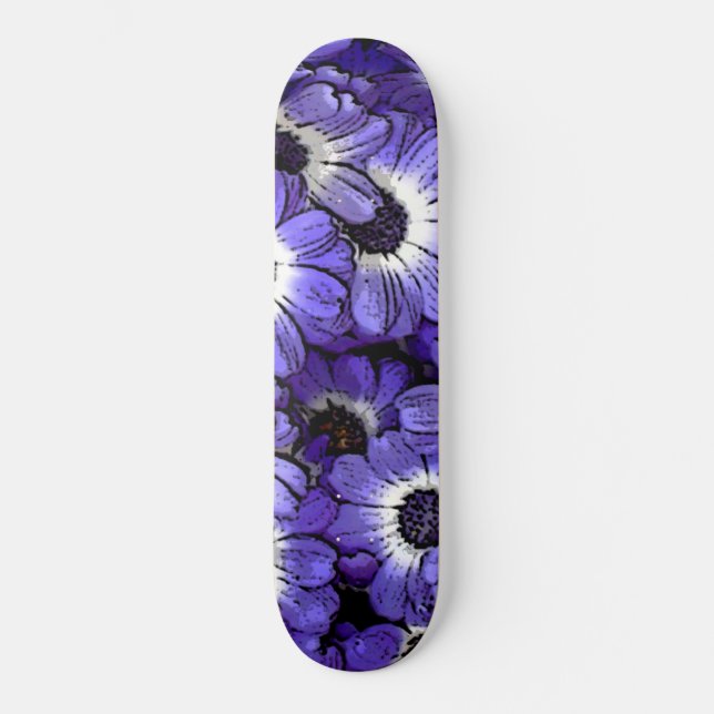 Skateboard Anemone (Anverso)