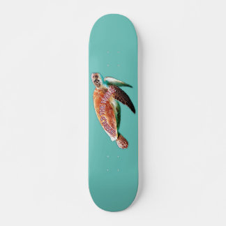 Skateboard animal acuático