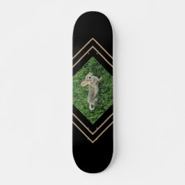 Skateboard Animal conejito