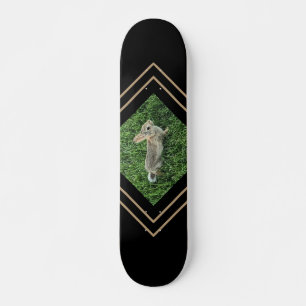 Skateboard Animal conejito