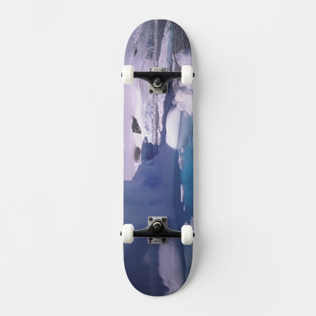 Skateboard Antártida. Niveles antárticos 2 (Anverso)
