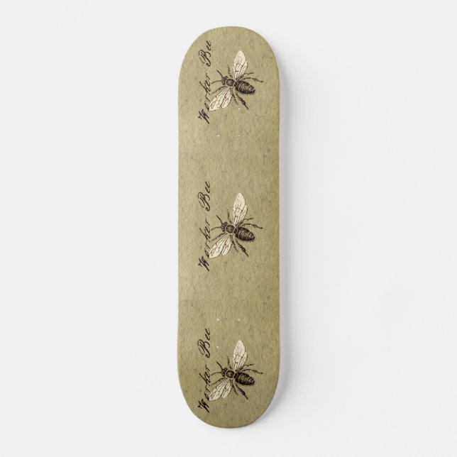 Skateboard Antigüedad del Ilustracion de los insectos de los  (Anverso)