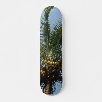 Skateboard Árbol de coco