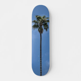 Skateboard Árbol de palma azul cielo