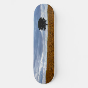 Skateboard Árbol en un campo vacío