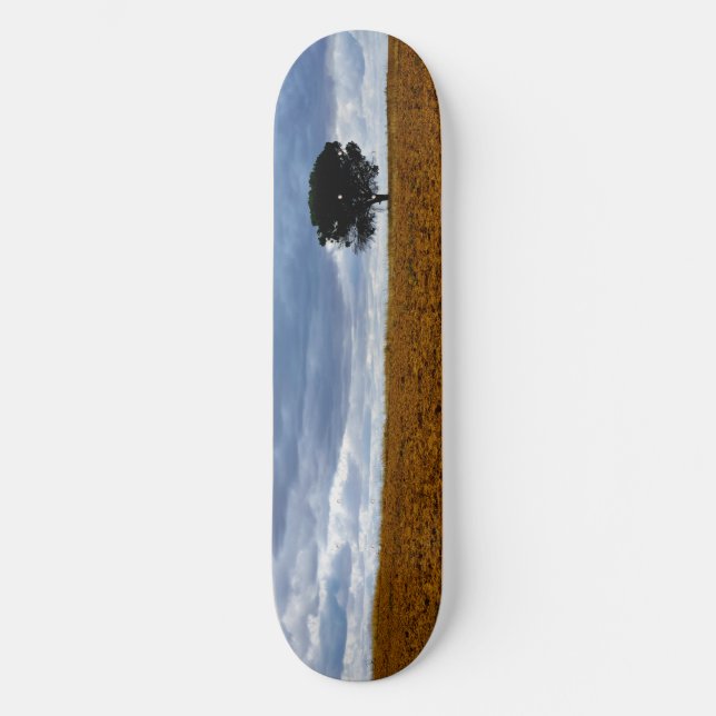 Skateboard Árbol en un campo vacío (Anverso)