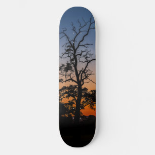 Skateboard Árbol en un fondo de puesta de sol