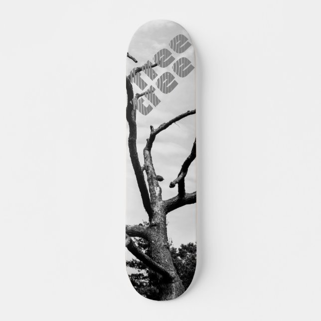 Skateboard árbol libre (Anverso )