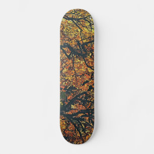 SKATEBOARD ÁRBOLES