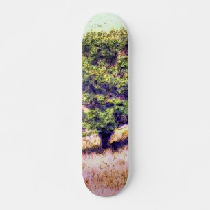 SKATEBOARD ÁRBOLES