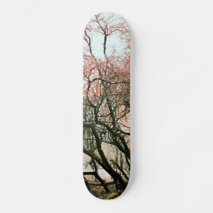 SKATEBOARD ÁRBOLES