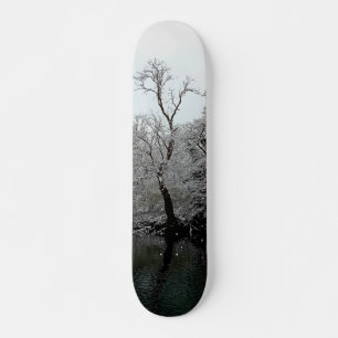 Skateboard Árboles, en el agua