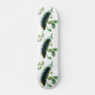 Skateboard Arctia caja caterpillar