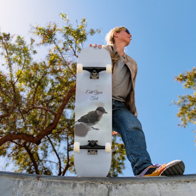Skateboard Arregla mi pájaro el Parus Major (Exterior 1)
