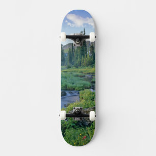 Skateboard Arroyo Picnic en Jewel Basin de Swan