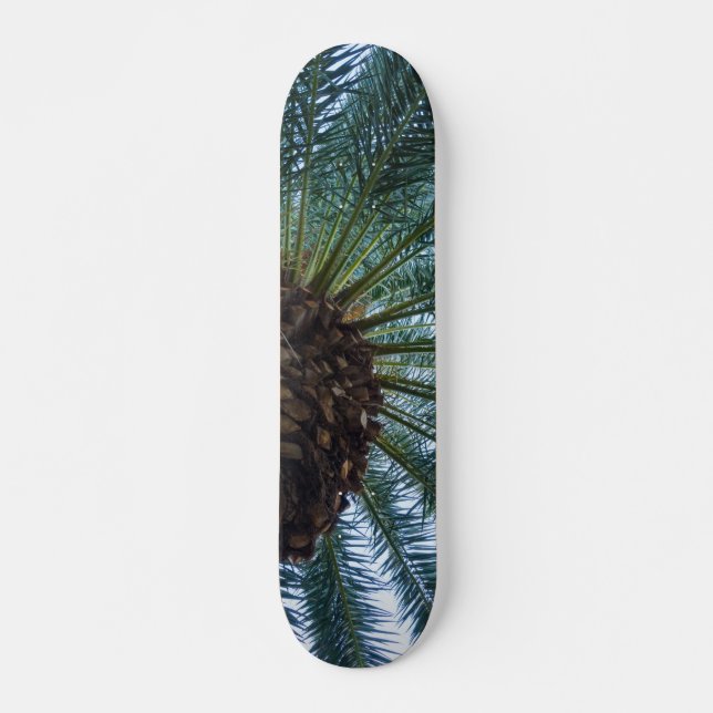 Skateboard Arte De La Palmera (Anverso )
