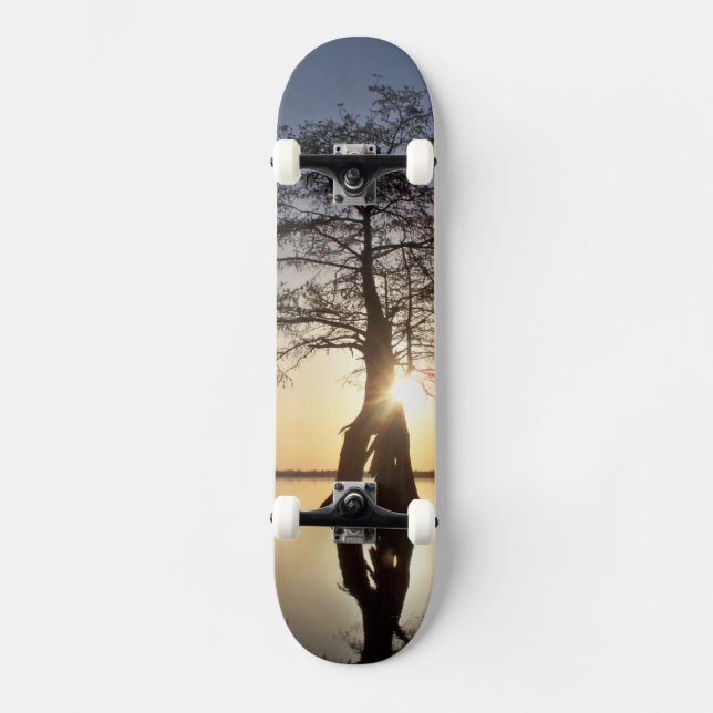 Skateboard Atardecer detrás de un árbol (Anverso)