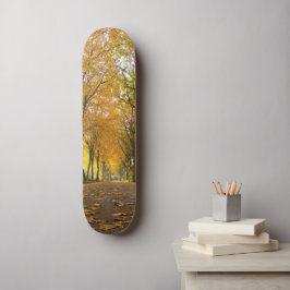 Skateboard Autumn path with yellow trees and fallen leaves
