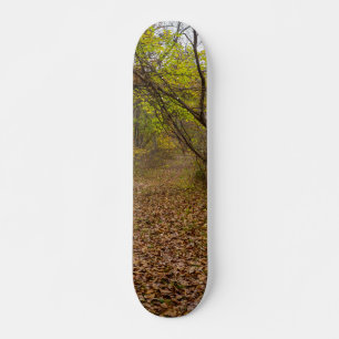 Skateboard Autumn Walkway