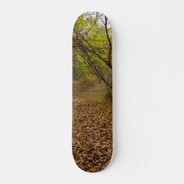 Skateboard Autumn Walkway (Anverso )