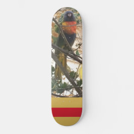 Skateboard Ave Cockatoo de Rainbow Lorikeet