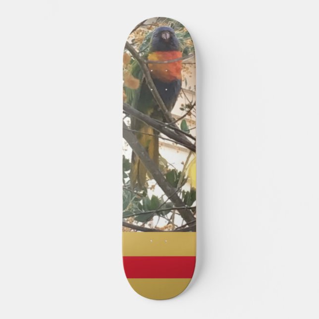 Skateboard Ave Cockatoo de Rainbow Lorikeet (Anverso)