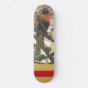 Skateboard Ave Cockatoo en el arco iris australiano