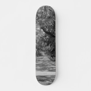 Skateboard Avenida De Robles Escala De Grises