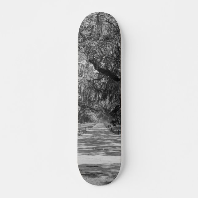 Skateboard Avenida De Robles Escala De Grises (Anverso )