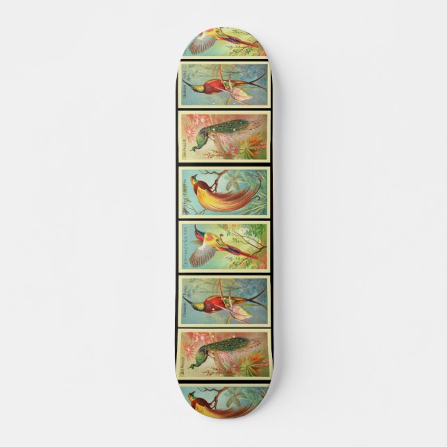 Skateboard Aves de época 2 (Anverso )