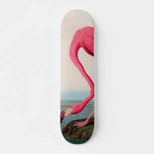 Skateboard Aves de flamenco norteamericanas impresas Audubon