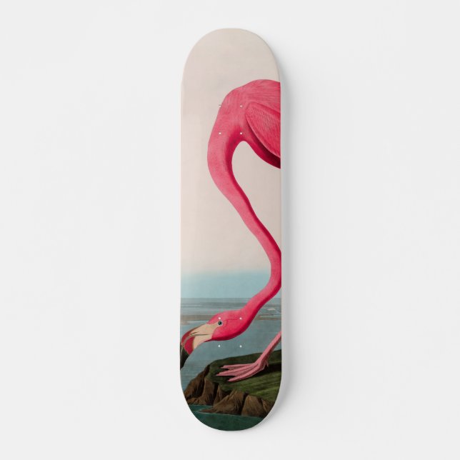 Skateboard Aves de flamenco norteamericanas impresas Audubon (Anverso )