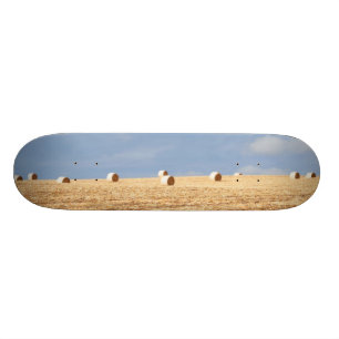 Skateboard Balas de heno en campo