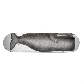 Skateboard Ballena vintage
