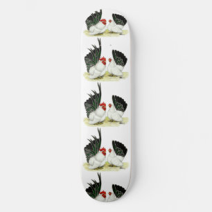 Skateboard Bantemas de cola negra japonesa